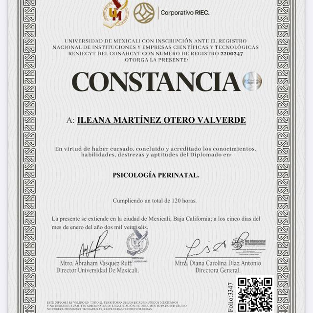 Ampliar imagen: certificate 6