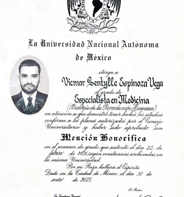 Ampliar imagen: certificate 4