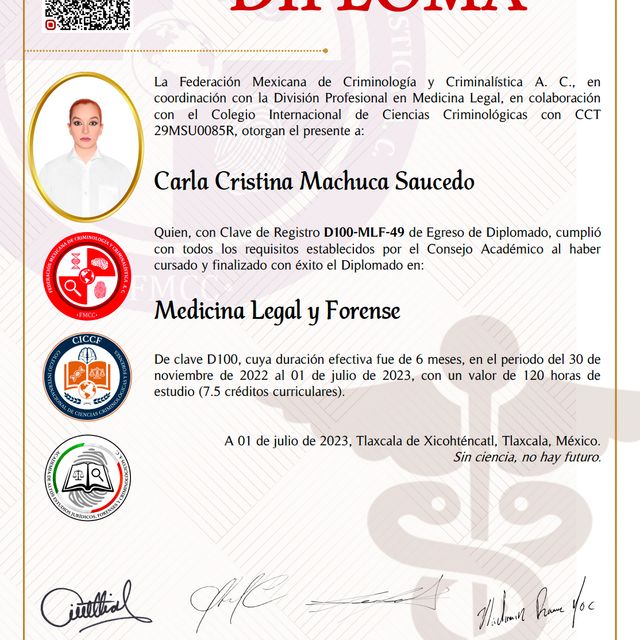 Ampliar imagen: certificate 6