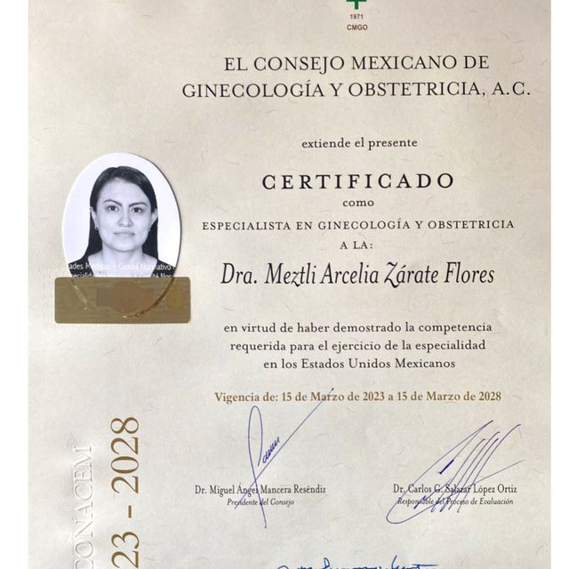 Ampliar imagen: certificate 1