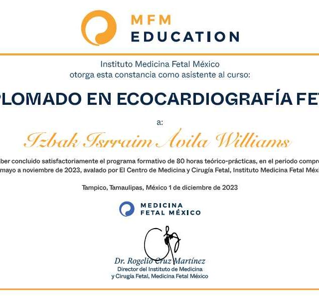 Ampliar imagen: certificate 1