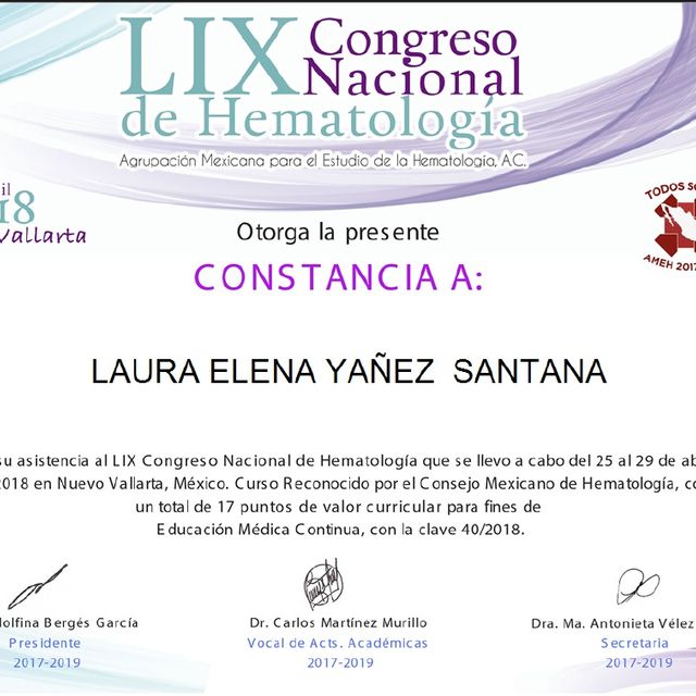 Ampliar imagen: certificate 3
