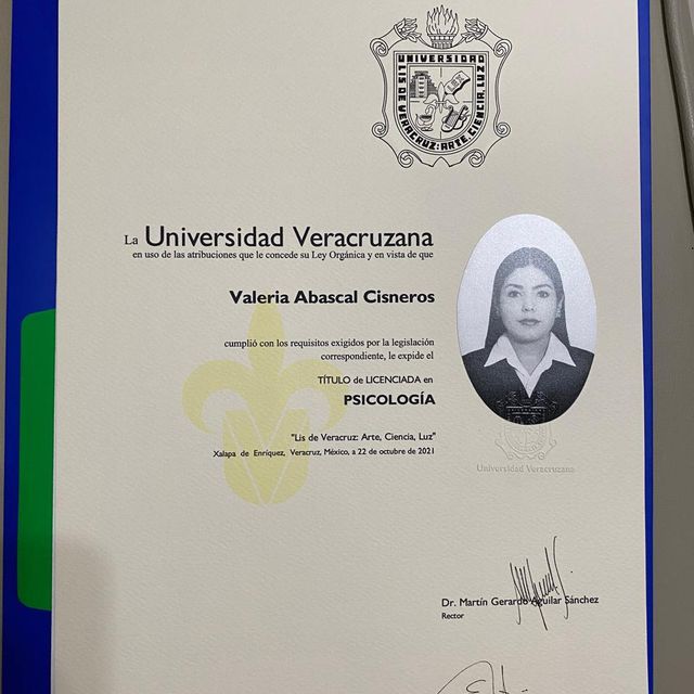 Ampliar imagen: certificate 6
