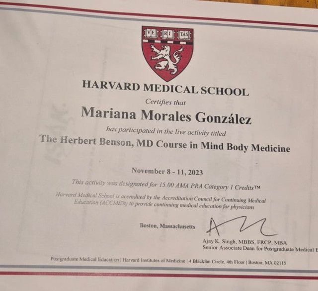 Ampliar imagen: certificate 2