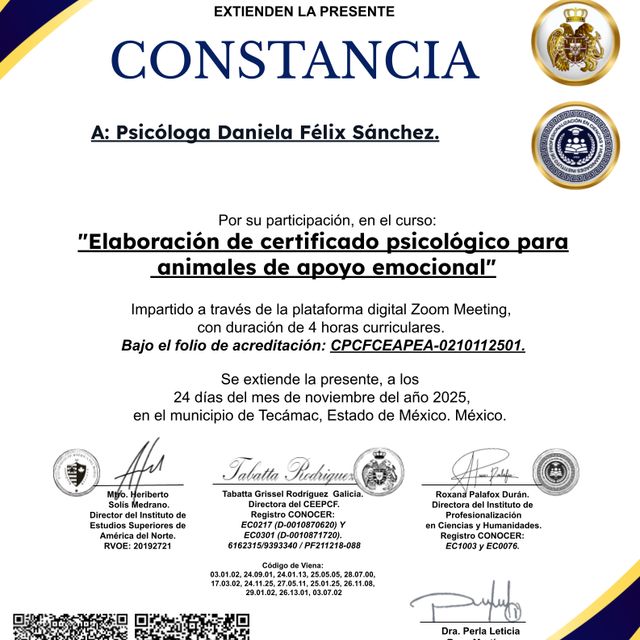 Ampliar imagen: certificate 30