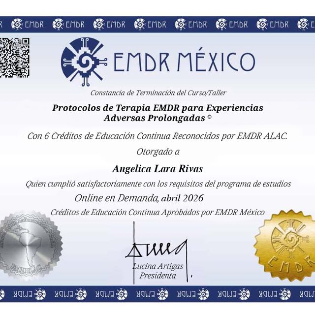 Ampliar imagen: certificate 2