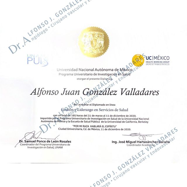 Ampliar imagen: certificate 7