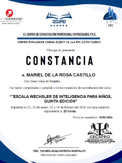 Ampliar imagen: certificate 2