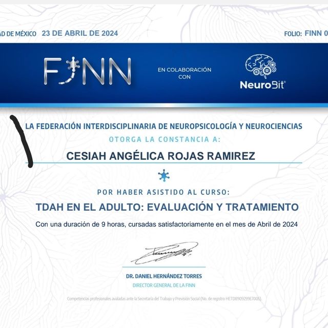 Ampliar imagen: certificate 2