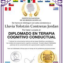 Ampliar imagen: certificate 15