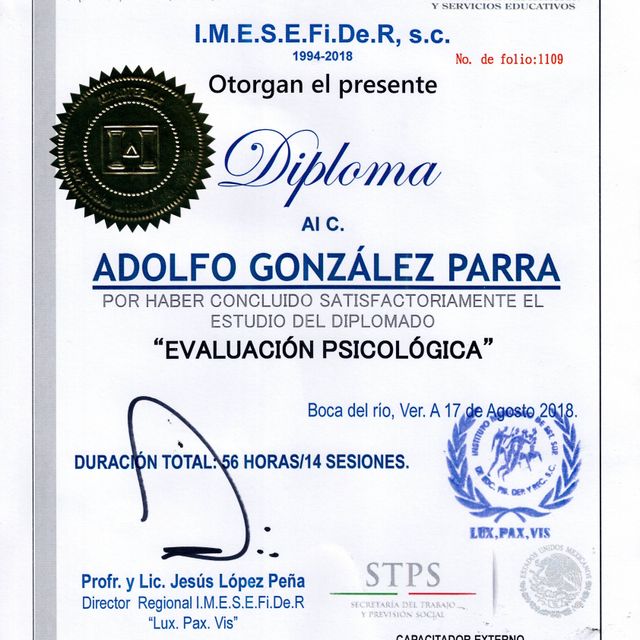 Ampliar imagen: certificate 3