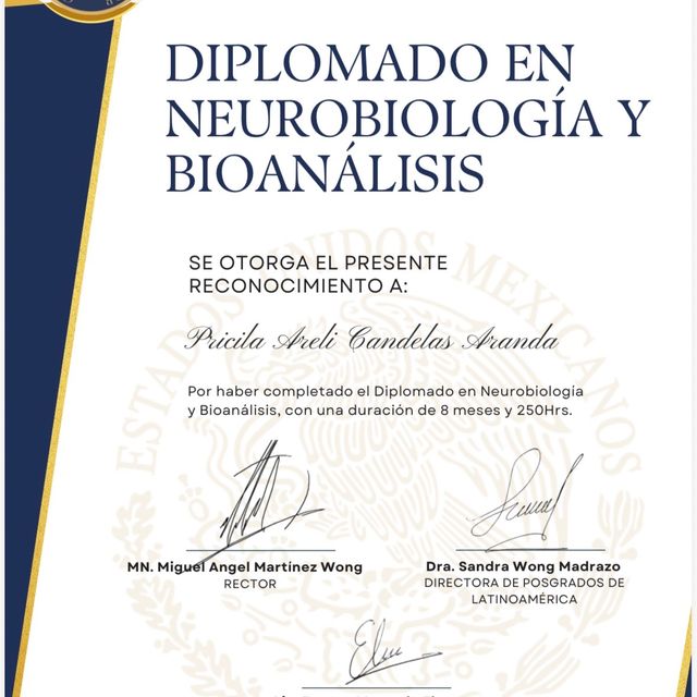 Ampliar imagen: certificate 4