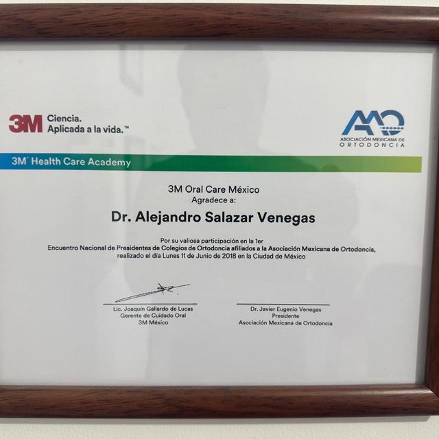 Ampliar imagen: certificate 19