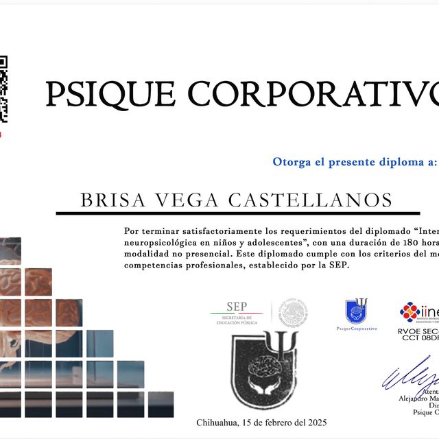 Ampliar imagen: certificate 1