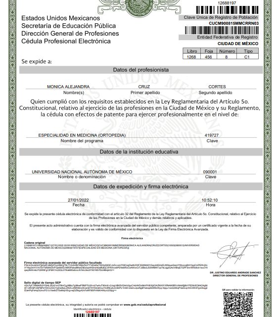 Ampliar imagen: certificate 4