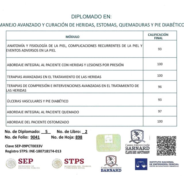 Ampliar imagen: certificate 2