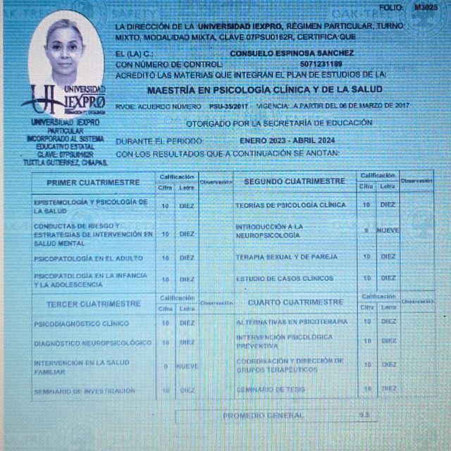 Ampliar imagen: certificate 1