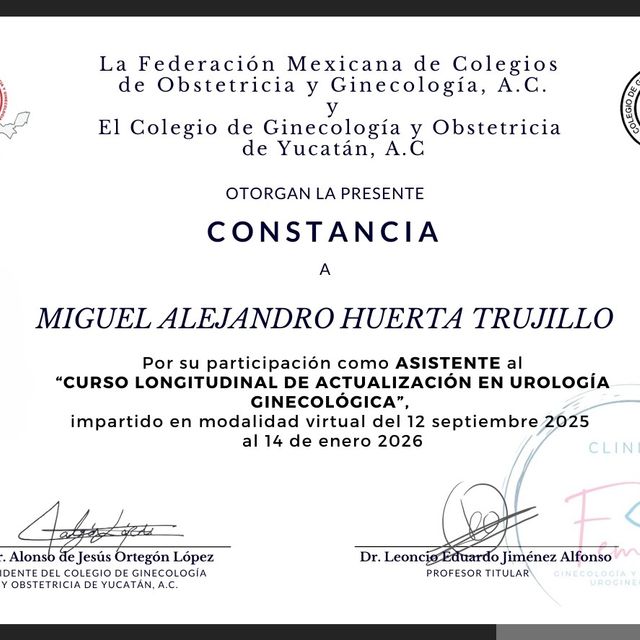 Ampliar imagen: certificate 8