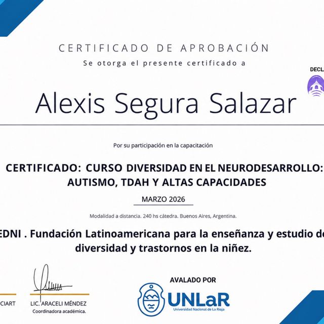 Ampliar imagen: certificate 17