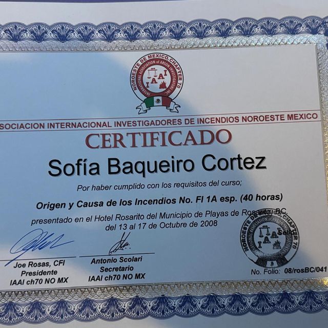 Ampliar imagen: certificate 13