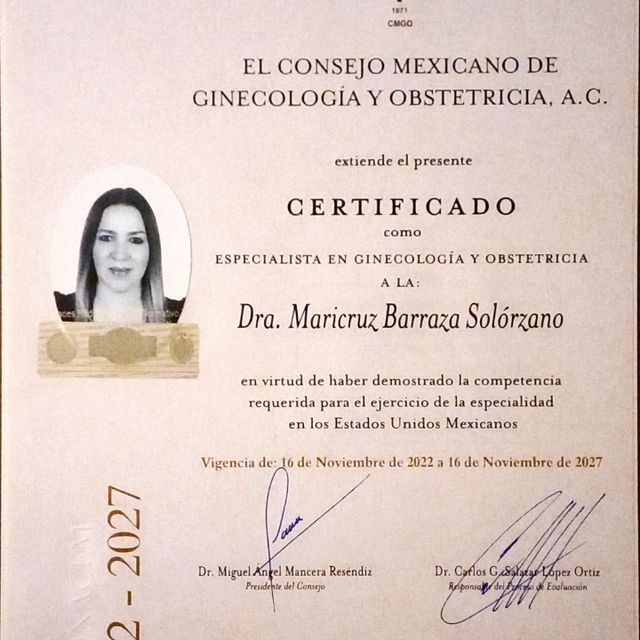 Ampliar imagen: certificate 1