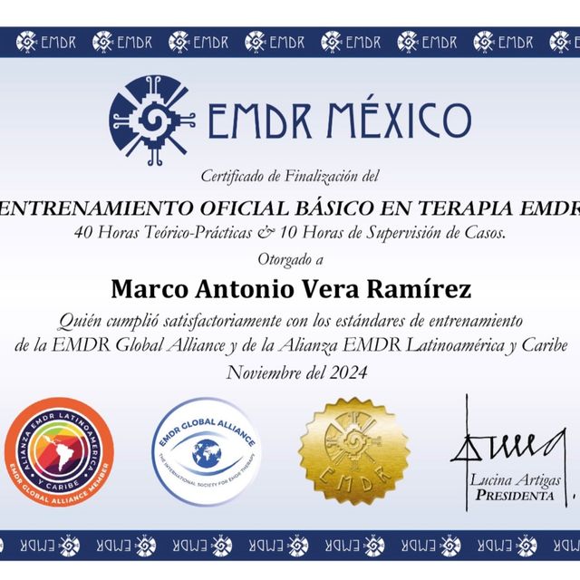 Ampliar imagen: certificate 3