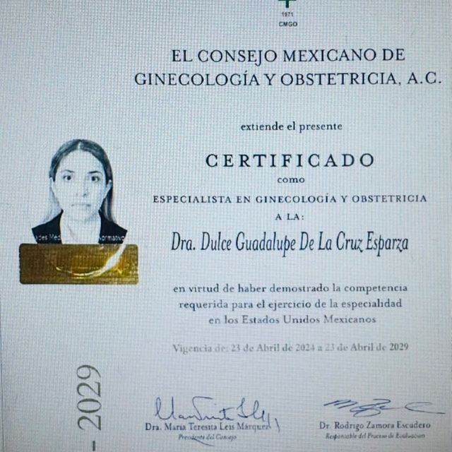 Ampliar imagen: certificate 4