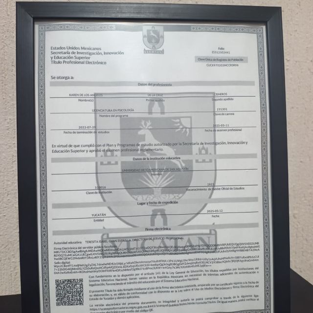 Ampliar imagen: certificate 1