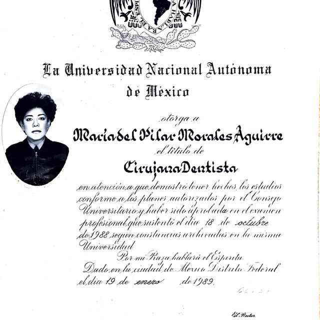 Ampliar imagen: certificate 3