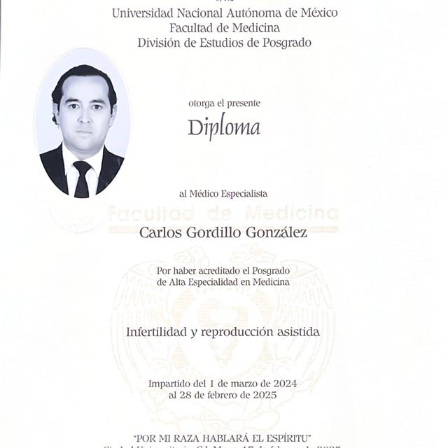 Ampliar imagen: certificate 3