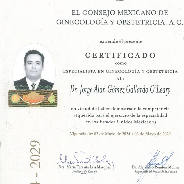 Ampliar imagen: certificate 1