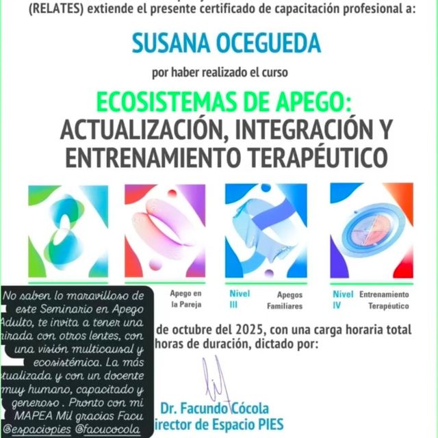 Ampliar imagen: certificate 9