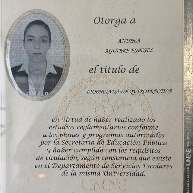 Ampliar imagen: certificate 2