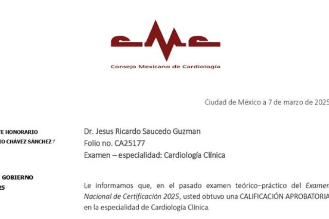 Ampliar imagen: certificate 3