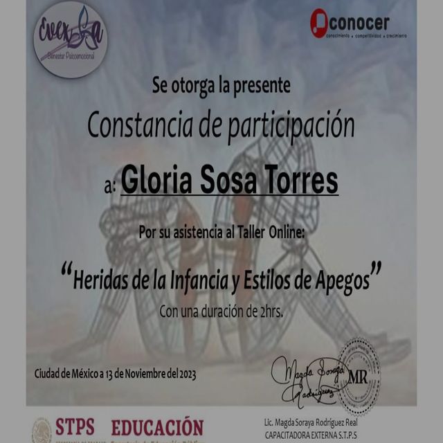 Ampliar imagen: certificate 1