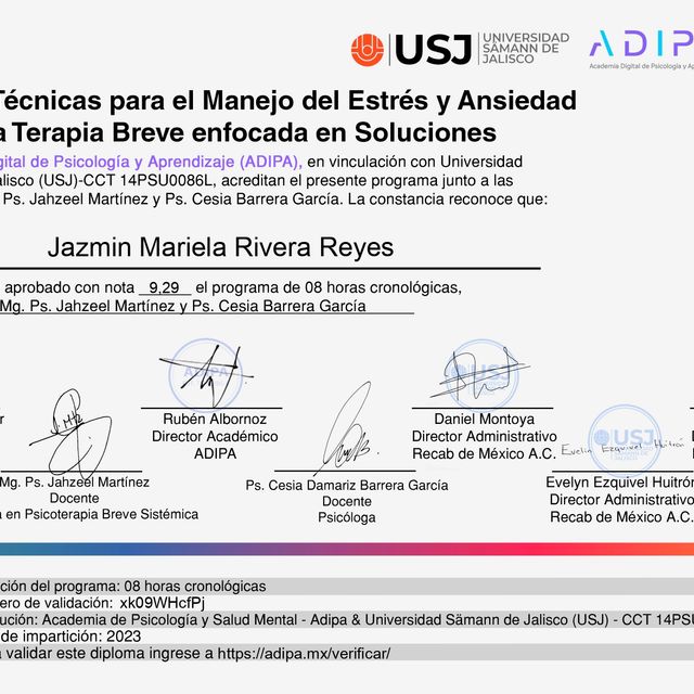 Ampliar imagen: certificate 10