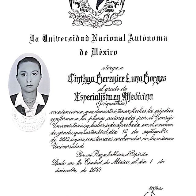 Ampliar imagen: certificate 2