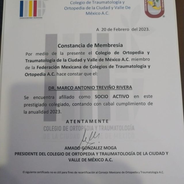 Ampliar imagen: certificate 10