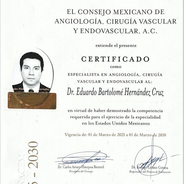 Ampliar imagen: certificate 1