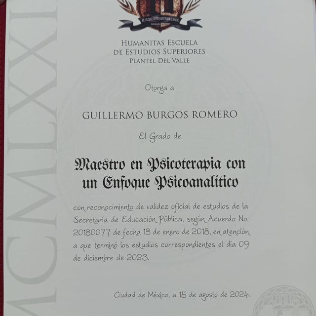 Ampliar imagen: certificate 3