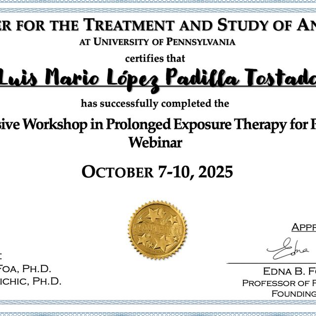 Ampliar imagen: certificate 2