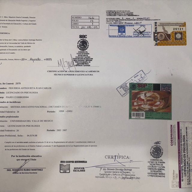 Ampliar imagen: certificate 2