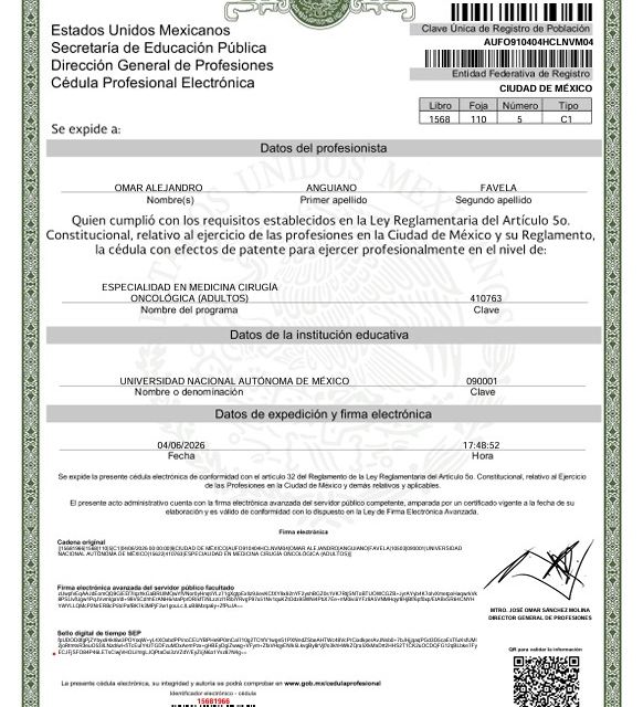 Ampliar imagen: certificate 5