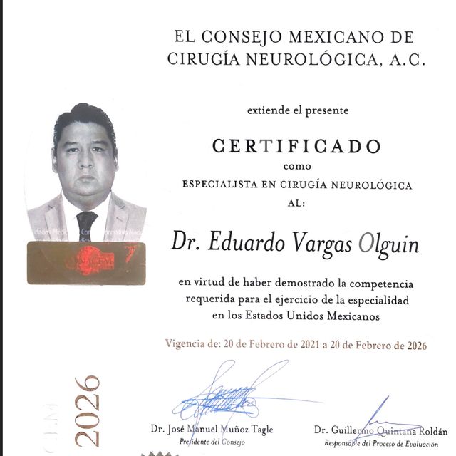 Ampliar imagen: certificate 2