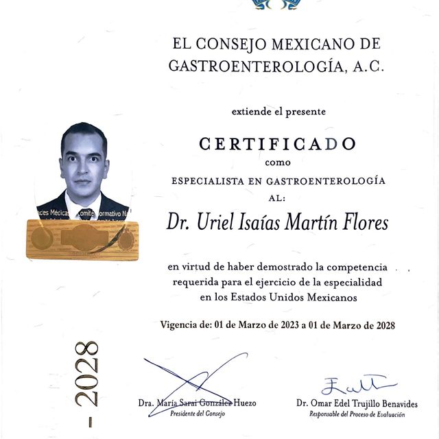 Ampliar imagen: certificate 2