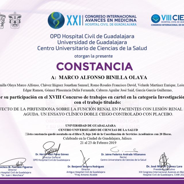 Ampliar imagen: certificate 16