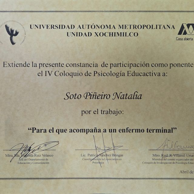 Ampliar imagen: certificate 10