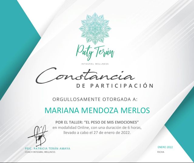 Ampliar imagen: certificate 6