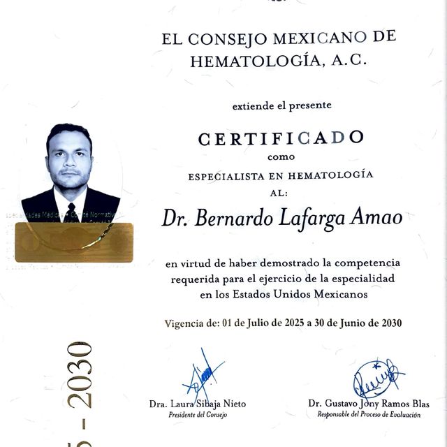 Ampliar imagen: certificate 1