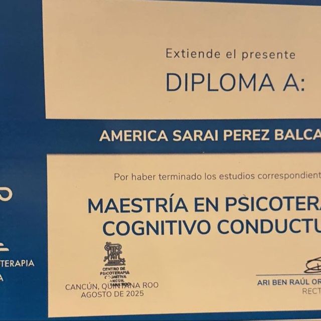 Ampliar imagen: certificate 31